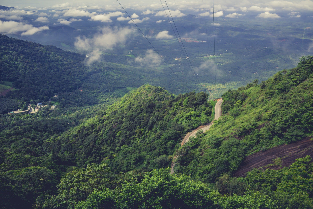 A winding road through the misty green hills of Meghalaya — low monsoon clouds settled over the valley below