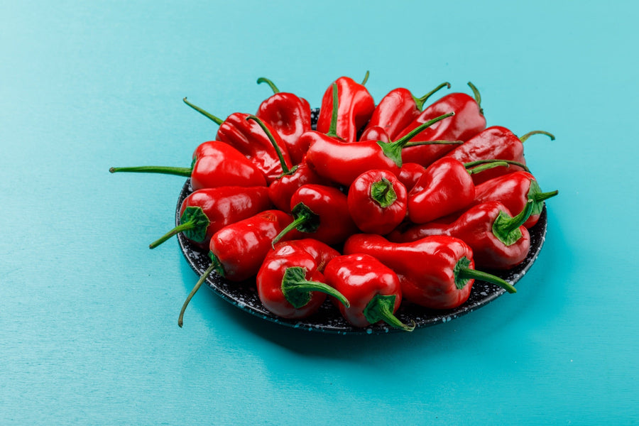 Bright red chillies in a small ceramic dish on a deep blue surface — the small dosage that does the work of a teaspoon of ordinary chilli powder