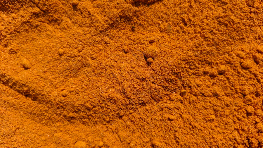 Close-up of vivid golden turmeric powder