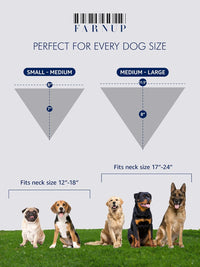 Best Dog Ever Bandana — fit detail