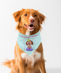 Happy Birthday Bandana — hero