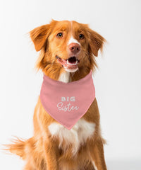 Big Sister Bandana — hero