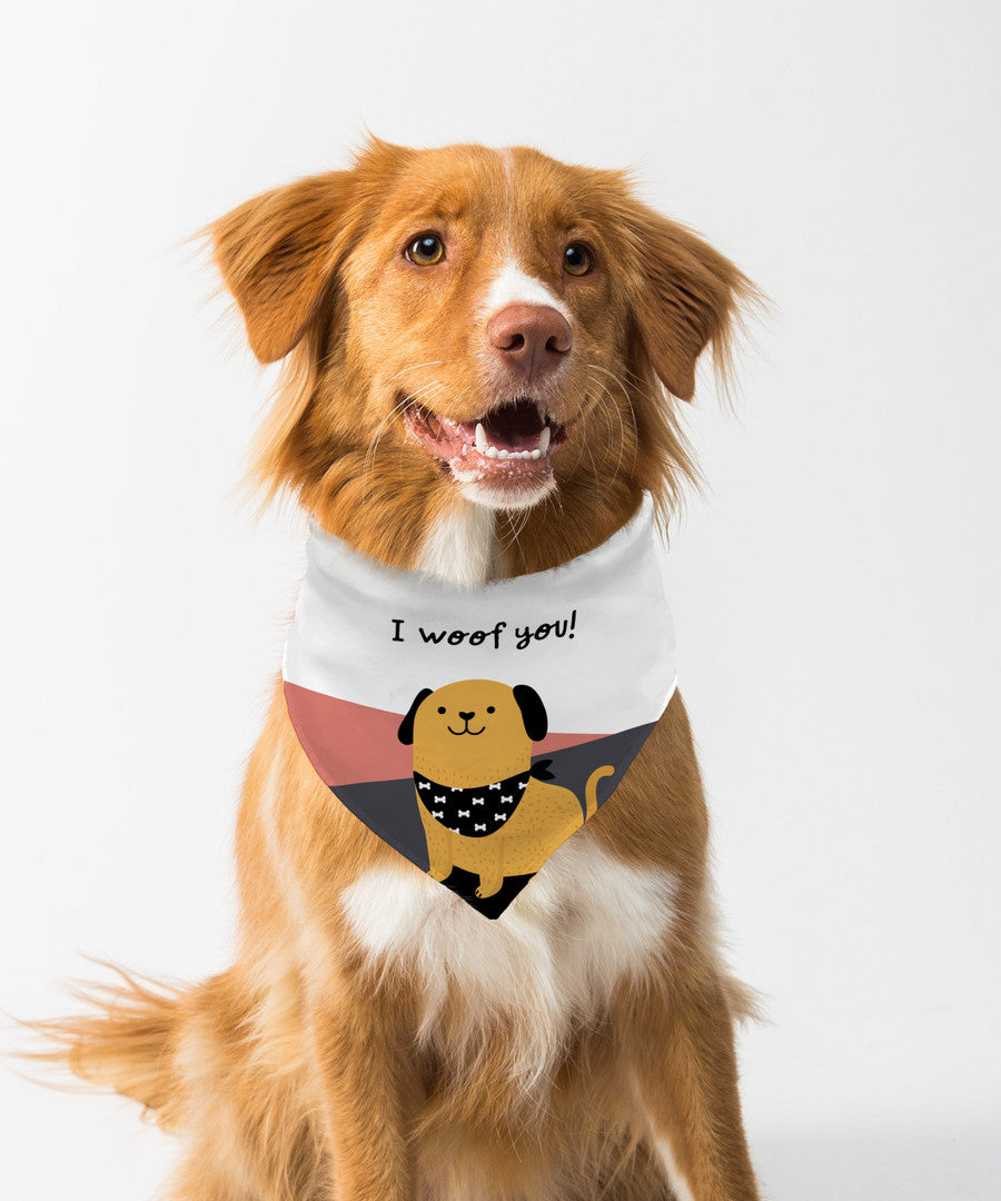 Multicolour Bandana — hero